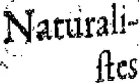 Picture 19 of 45 from Curiositez inoüyes (1629), leaf 235