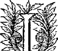 Picture 24 of 45 from Curiositez inoüyes (1629), leaf 440