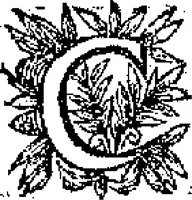 Picture 25 of 45 from Curiositez inoüyes (1629), leaf 473