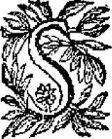 Picture 26 of 45 from Curiositez inoüyes (1629), leaf 492