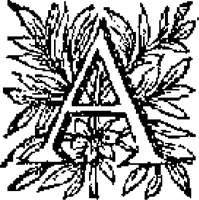 Picture 27 of 45 from Curiositez inoüyes (1629), leaf 517