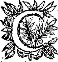 Picture 9 of 45 from Curiositez inoüyes (1629), leaf 59
