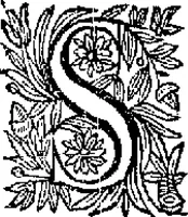 An illustration from Curiositez inoüyes (1629)
