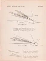 Picture 4 of 5 from The Effect on Performance of a Cutaway Center Section (1928), leaf 13