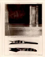 Picture 1 of 3 from Wind Tunnel Tests on an Airfoil Equipped with a Split Flap and a Slot (1929), leaf 7
