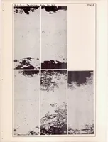 An illustration from Corrosion Embrittlement of Duralumin VI The Effect of Corrosion Accompanied by Stress on the Tensile Properties of Sheet Duralumin (1929)