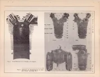 An illustration from The Effect of Fuel Consumption on Cylinder Temperatures and Performance of a Cowled Wright J-5 Engine (1929)