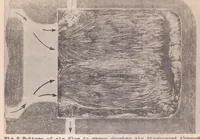 Picture 3 of 5 from Some Effects of Air Flow on the Penetration and Distribution of Oil Sprays (1929), leaf 18