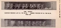 An illustration from Some Effects of Air Flow on the Penetration and Distribution of Oil Sprays (1929)