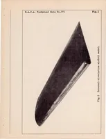 An illustration from Experiments with an Airfoil Model on which the Boundary Layers are Controlled Without the Use of Supplementary Equipment (1931)