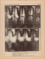 An illustration from Experiments on the Distribution of Fuel in Fuel Sprays (1932)
