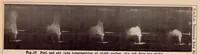 Picture 5 of 5 from Experiments on the Distribution of Fuel in Fuel Sprays (1932), leaf 29