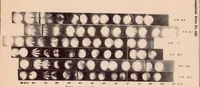 An illustration from Effect of Engine Operating Conditions on the Vaporization of Safety Fuels (1932)