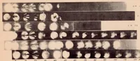 An illustration from Effect of Engine Operating Conditions on the Vaporization of Safety Fuels (1932)