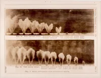Picture 6 of 6 from Development of an Impinging-jet Fuel-injection Valve Nozzle (1931), leaf 17