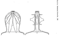 Picture 5 of 6 from Basic requirements of fuel-injection nozzles for quiescent combustion chambers (1931), leaf 11