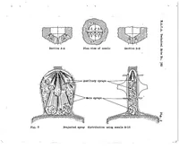 Picture 2 of 6 from Basic requirements of fuel-injection nozzles for quiescent combustion chambers (1931), leaf 8