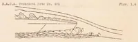 Picture 1 of 3 from The Reduction in Drag of a Forward-sloping Windshield (1933), leaf 6