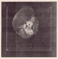 An illustration from Resistance of Transparent Plastics to Impact (1939)