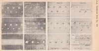Picture 4 of 6 from Tidewater and Weather-exposure Tests on Metals Used in Aircraft (1939), leaf 36