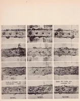 An illustration from Tidewater and Weather-exposure Tests on Metals Used in Aircraft (1939)