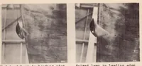Picture 4 of 5 from Full-scale Drag Tests of Landing Lamps (1934), leaf 10