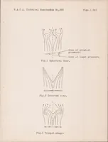 Picture 1 of 5 from Airplane Parachutes (1925), leaf 79