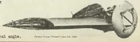 An illustration from The Handley Page type 42 commercial airplane (British) : a metal sesquiplane (1930)