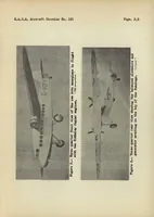 An illustration from Avro 642 commercial airplane (British) : a high-wing cantilever monoplane (1934)