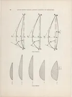 Picture 4 of 6 from Experimental Research on Air Propellers II (1920), leaf 15