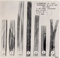 Picture 3 of 6 from The Kiln Drying of Wood for Airplanes (1919), leaf 33