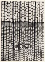 An illustration from The Kiln Drying of Wood for Airplanes (1919)