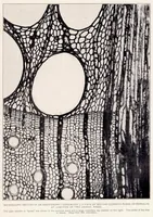 An illustration from The Kiln Drying of Wood for Airplanes (1919)