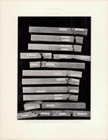 Picture 3 of 5 from The Effect of Kiln Drying on the Strength of Airplane Woods (1920), leaf 41