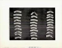 Picture 4 of 5 from The Effect of Kiln Drying on the Strength of Airplane Woods (1920), leaf 44