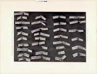 An illustration from The Effect of Kiln Drying on the Strength of Airplane Woods (1920)