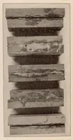 An illustration from Internal Stresses in Laminated Construction (1923)