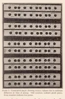 An illustration from Internal Stresses in Laminated Construction (1923)
