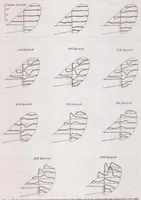 Picture 1 of 6 from Pressure Distribution over the Rudder and Fin of an Airplane in Flight (1923), leaf 8
