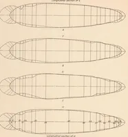 An illustration from Pressure Distribution on the C-7 Airship (1926)