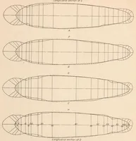 An illustration from Pressure Distribution on the C-7 Airship (1926)