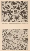 Picture 4 of 6 from The Corrosion of Magnesium and of the Magnesium Aluminum Alloys Containing Manganese (1927), leaf 22