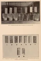 An illustration from The Corrosion of Magnesium and of the Magnesium Aluminum Alloys Containing Manganese (1927)