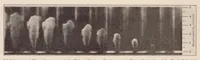 An illustration from The Effects of Fuel and Cylinder Gas Densities on the Characteristics of Fuel Sprays for Oil Engines (1928)