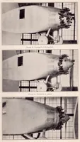 Picture 1 of 4 from Drag and Cooling with Various Forms of Cowling for a "Whirlwind" Radial Air-Cooled Engine I (1930), leaf 22