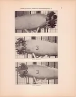 Picture 1 of 6 from Drag and Cooling with Various Forms of Cowling for a "Whirlwind" Radial Air-cooled Engine II (1930), leaf 10