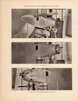 An illustration from Working Charts for the Selection of Aluminum Alloy Propellers of a Standard Form to Operate with Various Aircraft Engines and Bodies (1931)