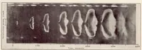 An illustration from The Design and Development of an Automatic Injection Valve with an Annular Orifice of Varying Area (1931)