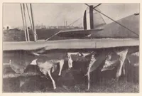 Picture 1 of 2 from A Method for Computing Leading-Edge Loads (1933), leaf 4