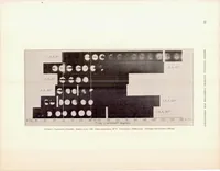 An illustration from Fuel Vaporization and Its Effect on Combustion in a High-Speed Compression-Ignition Engine (1933)